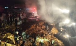 Eyyübiye'de hayvan çiftliğinde yangın