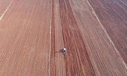 Şanlıurfa'da toprak ile su kaybı, gıdayı ve geleceği doğrudan tehdit ediyor