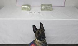 Siverek’te Narkotik Operasyonu: Kilolarca Esrar Ele Geçirildi