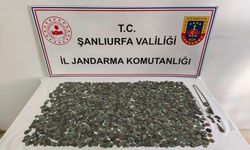 Şanlıurfa'da Tarihi Eser Operasyonu: Binlerce Sikke Ele Geçirildi