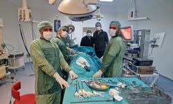 Viranşehir'de Büyük Böbrek Kisti Ameliyatı