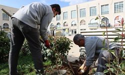 Büyükşehir’den Yeşil Hamle: Ağaç ve Bitki Dikimi Hız Kazandı