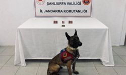 Şanlıurfa’da Narkotik Operasyonu: 8 Şüpheliye İşlem Başlatıldı