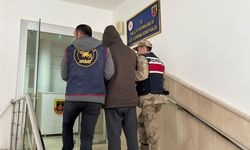 Şanlıurfa'da Firari Hükümlüyü Jandarma Yakaladı