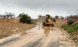 Büyükşehir Ekipleri, Selin Zararını Gidermek İçin Sahada