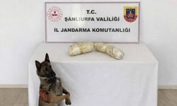 Birecik'te Narkotik Operasyonu: 2 şüpheli gözaltına alındı