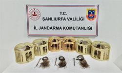 Şanlıurfa'da Kaçak Avcılara Jandarma Engeli