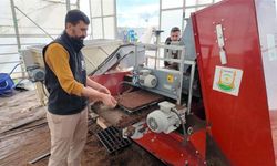 Şanlıurfa Büyükşehir’den 1 Milyon Fide Üretimi