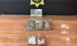 Şanlıurfa'da 2 Kilo 700 Gram Skunk Ele Geçirildi