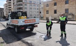 Şanlıurfa’da Büyükşehir’den Sivrisinek ve Haşere Mesaisi