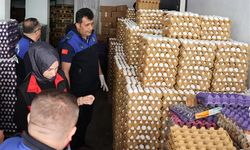 Haliliye’de 5 bin koli yumurta imha edildi