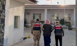 Harran'da firari cinayet zanlısı yakalandıı