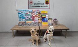 Şanlıurfa’da Kaçakçılık Operasyonu: 27 Gözaltı