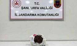 Viranşehir'de 1 kilogram skunk ele geçirildi