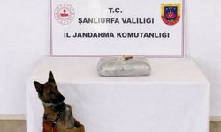 Şanlıurfa'da narkotik operasyonu: 1 kilo 222 gram esrar ele geçirildi