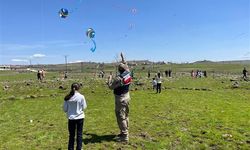 Siverek'te uçurtma şenliği düzenlendi
