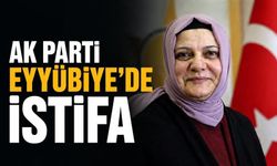 AK Parti Eyyübiye'de İstifa