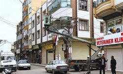 Dicle Elektrik’ten Şanlıurfa’da Fırtına Mesaisi