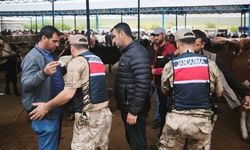 Şanlıurfa’da Hayvan Pazarlarında Bayram Tedbirleri Artırıldı