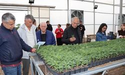 TBB Heyeti, Şanlıurfa’da Büyükşehir’in Tarımsal Üretimini İnceledi
