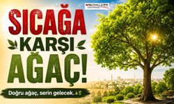 Güneydoğu'nun Sıcağına Karşı Doğal Çözüm: Ağaçlandırma