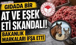 Gıdada Yeni Usulsüzlükler Ortaya Çıktı
