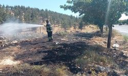 Şanlıurfa'da Orman Yangını: İtfaiyenin Müdahalesiyle Söndürüldü