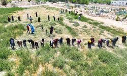 Harran’da Mezarlıklarda Kapsamlı Temizlik Çalışması
