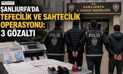Şanlıurfa'da Tefecilik ve Sahtecilik Operasyonu: 3 Gözaltı