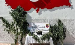 Hilvan'da uyuşturucu operasyonu: 1 gözaltı