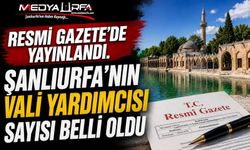 Şanlıurfa'nın Vali Yardımcısı Sayısı Belli Oldu