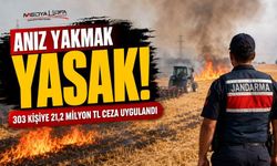Şanıurfa'da anız yakanlara yüksek miktarda ceza