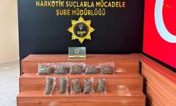 Şanlıurfa'da 2 Kilo 600 Gram Skunk Ele Geçirildi: 1 Tutuklama
