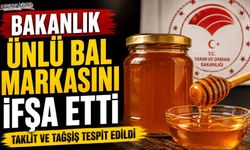 Ünlü Bal Markasında Taklit ve Tağşiş Tespit Edildi