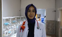 Anne Sütü, Bebeğin İlk Aşısı ve En Güçlü Koruyucusu
