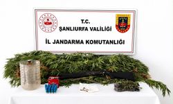 Akçakale'de Uyuşturucu Operasyonu: 1 Şüpheli Hakkında İşlem Başlatıldı