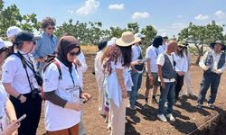 Şanlıurfa UNESCO Gönüllülerini Taş Tepeler'de ağırladı
