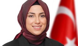 CHP'de istifa: 'Baskılara maruz kaldım'