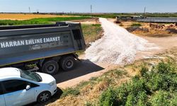 Harran Kırsalında Asfalt Çalışmaları İçin Hazırlık Başladı
