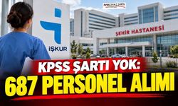 KPSS şartı aranmıyor: Şehir Hastanelerine 687 personel alımı