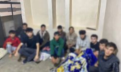 Şanlıurfa’da göçmen kaçakçılığı operasyonu