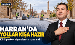 Harran’da Kış Öncesi Yol Seferberliği