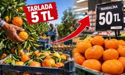 Tarlada 5 TL, Markette 50 TL