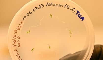 Türk bilim insanları uzayda bitki yetiştirecek