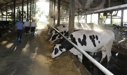 Devlet desteğiyle çiftliğe, sonra düve merkezine sahip oldu