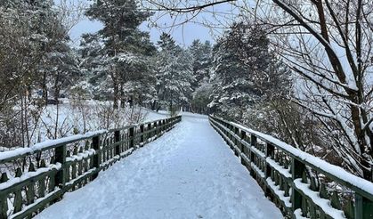 Abant Gölünde yürüyüş yolları ve iskeleler karla kaplandı