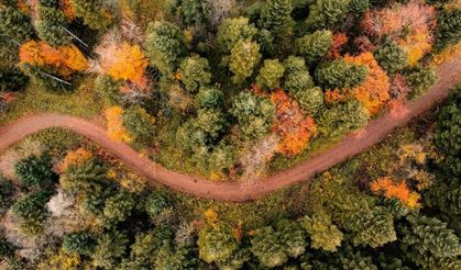 Çam Dağı'nda renk cümbüşüyle doğanın güzelliğini yansıtıyor