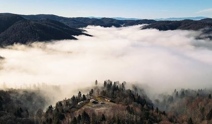 Çam Dağı'nda sis bulutu renk cümbüşü ile bütünleşti