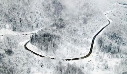 Çam Dağı ormanlarında karpostallık görüntüler