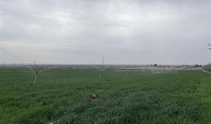 Şanlıurfa'da uzmanlardan önemli uyarı: Su, etkin ve tasarruflu kullanılmalı
